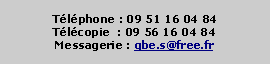 Zone de Texte: Tlphone : 09 51 16 04 84Tlcopie  : 09 56 16 04 84Messagerie : gbe.s@free.fr